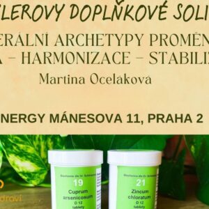 Schüsslerovy doplňkové soli 13 - 22